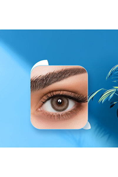 lansme عدسات أفيل اليومية كوكيز