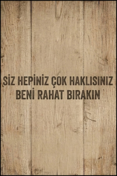 Hayal Poster Siz Hepiniz Çok Haklısınız Retro Ahşap Poster 20x30