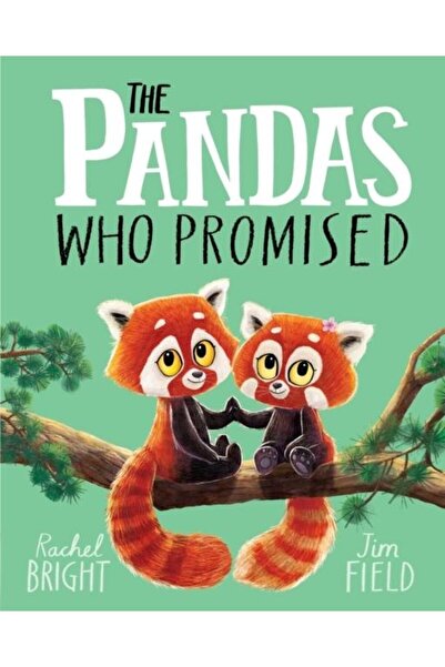 Hachette Children's Group The Pandas Who Promised, Rachel Bright