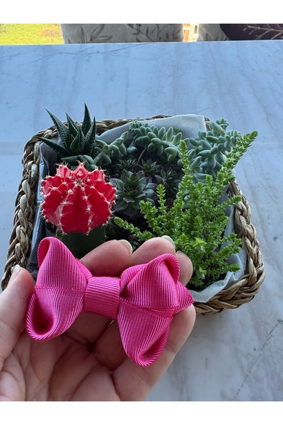 roseberry prenses serisi Tasarım Pembe kız çocuk toka özel gün bayram hediyelik