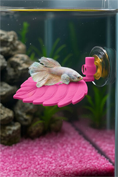 Akvaryum Beta Balıgı Dinlenme Alanı Beta Dinlenme Alanı ( Yaprak ) Pembe