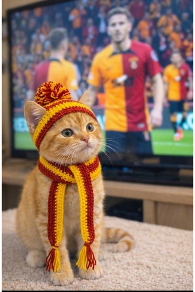HÜMANATURAL El Örgüsü Sarı Kırmızı Taraftar Kedi Şapkası ve Atkı Pet Aksesuarı