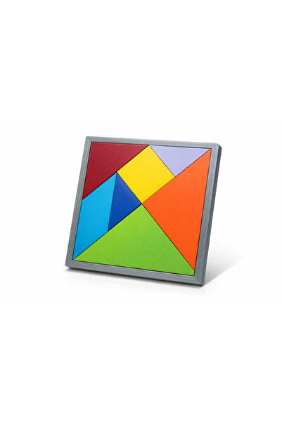 LayerOne Colorful Geometric Puzzle – Educational Brain Teaser for Kids