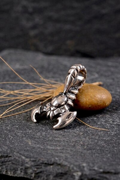 Ebrar Silver Gümüş Akrep Kolye Ucu 925 Ayar Gümüş Akrep Figürlü Unisex Kolye Ucu