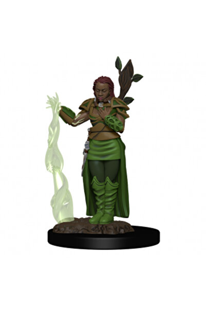 Wizkids Φιγούρες Dungeons & Dragons Icons of the Realms Premium: Άνθρωπος Γυν...