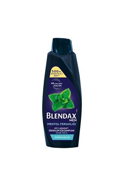 Blendax قطعتين من شامبو الرجال بخلاصة النعناع 500 مل