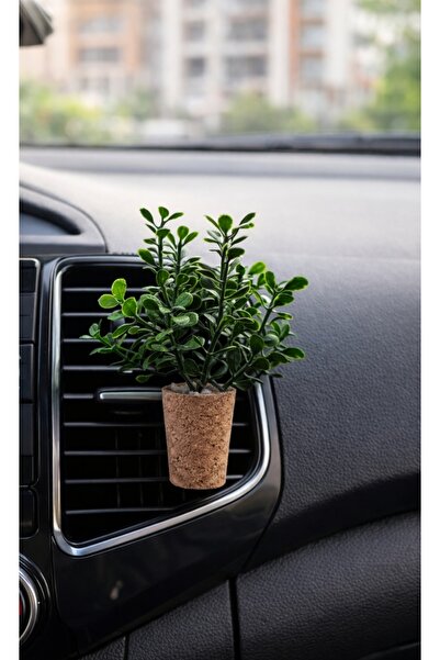 Alyora Dekoratif Mini Araç Oto Kokusu -El Yapımı Mantar Saksı Çiçek Klima Süs...