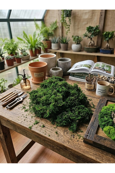 Generic Artificial moss, green grass, suitable for crafts, hobbies, floral ar...