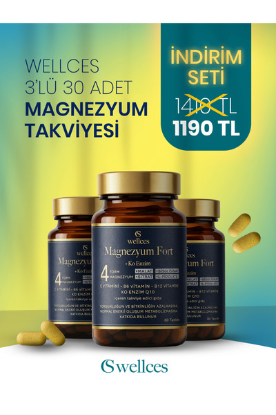 WELLCES Magnesium Fort 30 Tablets 3-Pack Advantage Pack