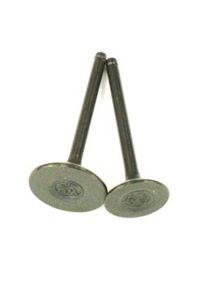 Blade Set supape GY6 125