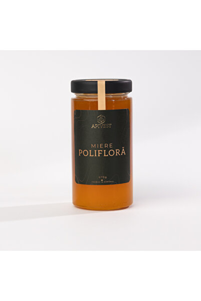 APIVEST Miere Polifloră 670g