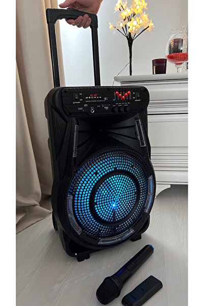 Wainer Portable Speaker SK02 – 70W RMS, 12" Woofer, Troller