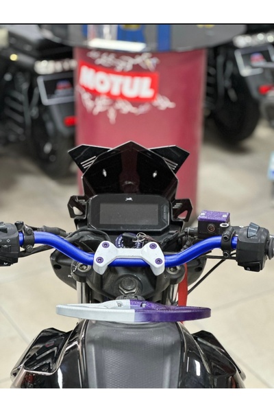 TVS RAİDER 125 CC ÖZEL YAPIM BİREBİR UYUMLU RENKLİ GİDON (MAVİ)