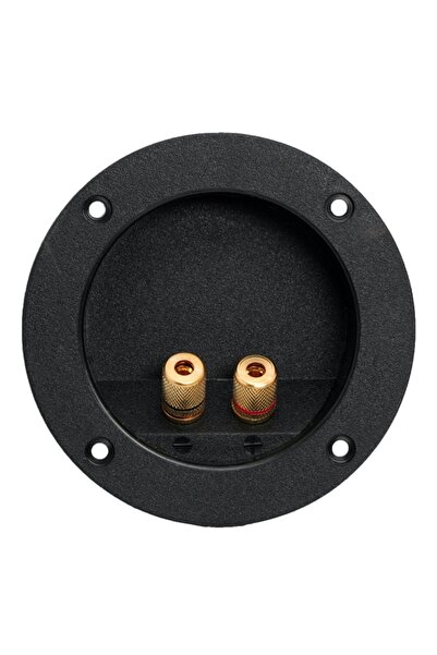 OEM 2-way speaker jack