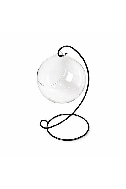 Dayang حوض سمك زجاجي على شكل سمكة مقاتلة مع حامل معدني - حوض سمك بيتا عصري يُ...