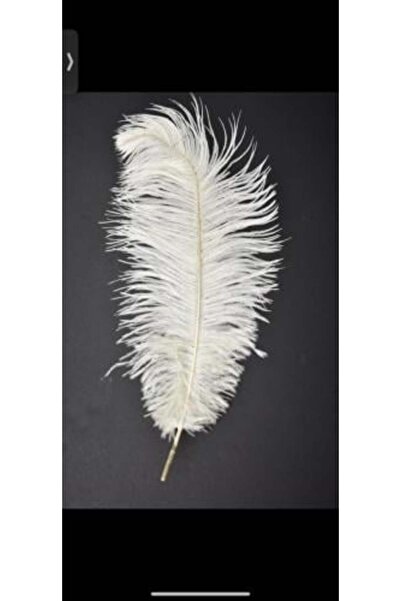 Yarn World Ostrich feathers for decoration and to add a touch of luxury to fa...