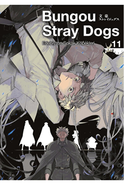Gerekli Şeyler Yayıncılık Bungou Stray Dogs 11