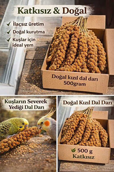 RBeşsizdogal DOĞAL 1. KALİTE KIZIL DAL DARI İLAÇSIZ 500GRAM PREMİUM BÜYÜK BOY...