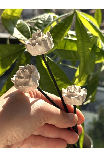 Plantarrium Design Dekoratif Çiçek Difüzör Çubuğu 3’lü Set – Reed Diffuser Ye...