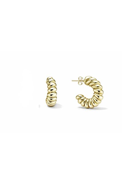 Venus Design Steel Hoop Earrings