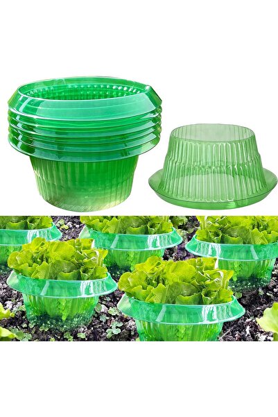 OEM Smuju Gulere de Protecție Melci - Set 12 Bucăți - mărime 24 cm - Plastic ...