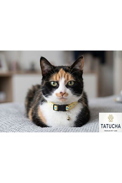 Tatucha Premium Galaxy Harmony – Cat Collar (Special Collection) Yellow