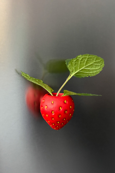 Alvina Atölye 4'lü Set Çilek Figürlü Hava Bitkisi Magneti -Mini Tillandsia Sa...