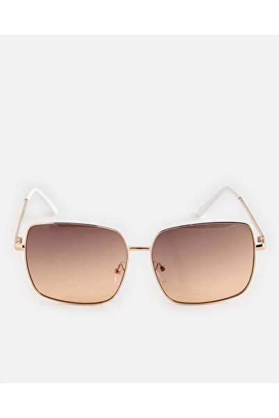 REDTAG Women Brown Oversize Sunglasses