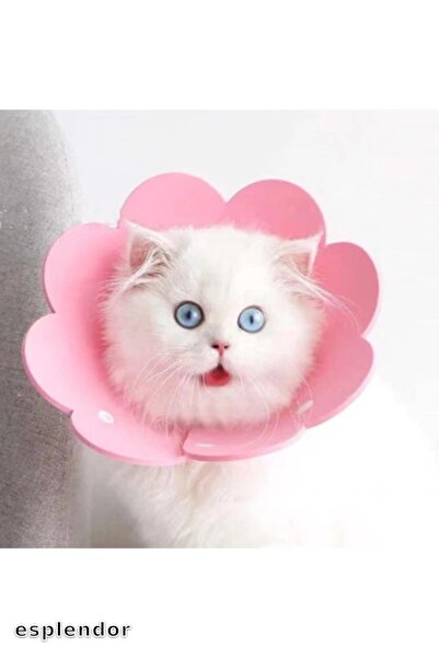 esplendor Felt Elizabeth Collar m Size Pet Protection