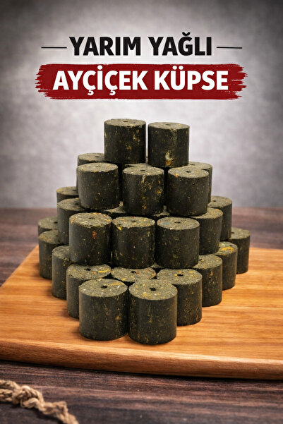 CTY Aycicek Sazan Küspesi