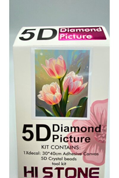 DUCK HOBY 30x40 Boncuklu Taşlı Mozaik Elmas Goblen Pano Tablo Resim Puzzle Dı...