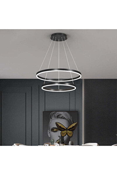 RFAN LED Pendant Chandelier, Model F311/2, With Remote Control, 3 Light Types...