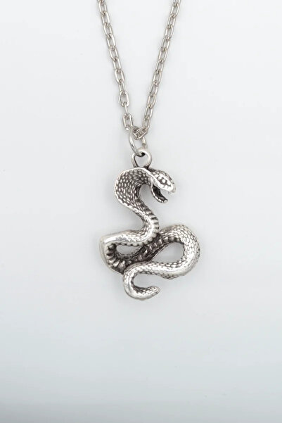 ıdr Kobra Yılan Gümüş Kaplama Düz Zincir Kolye
