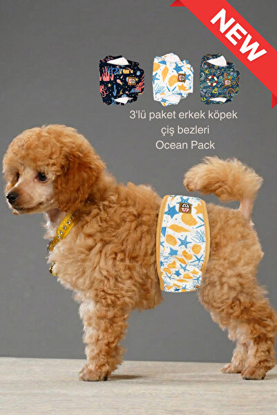 salya store Ocean Pack Erkek Köpek Çiş Bezleri - 3'lü Avantajlı Paket Su Geçi...