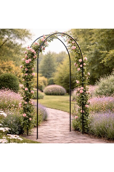 SERSIMO Pergolă decorativă de grădină pentru plante cățărătoare cu ancore, oț...