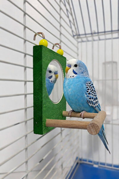 Wooden Bird Muhabbet Kuşu Kafes Yan Duvar Aynası (Yeşil Renk)