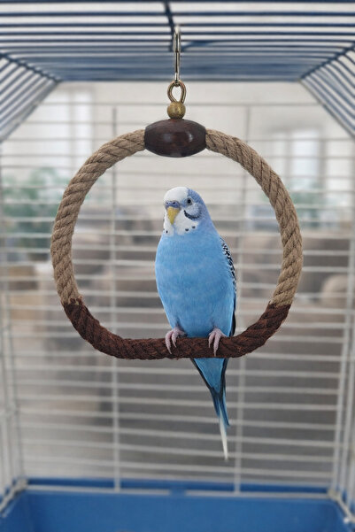 Wooden Bird Muhabbet Jüt İpli Yuvarlak Salıncak(Kahverengi)