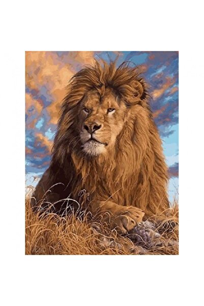 Genel Markalar Lider Aslan Sayılarla Tablo Kanvasa Gerili - 40x50 Cm