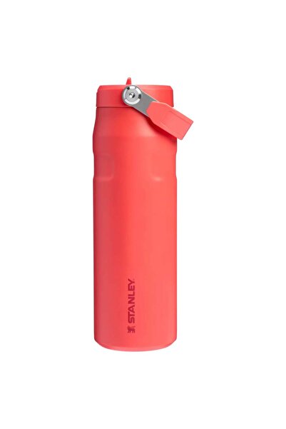 Stanley الآيس فلو ™   زجاجة فليب ستراو 2.0 / 24 أونصة تيرموس 0.07 لتر 10-1128...