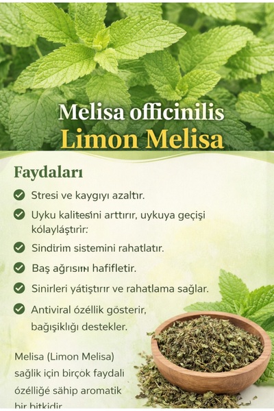 VIOLA TOHUM ve BAHARAT Melisa (OĞUL OTU) Uyku , Stres , Çarpıntı Icın Faydalı