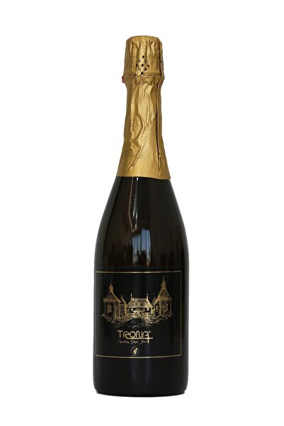 TRONA Üzüm Aromalı Alkolsüz Gazlı İçecek