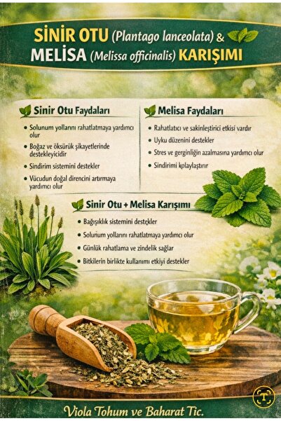 Greenherb Sinir otu ve Melisa Çayı
