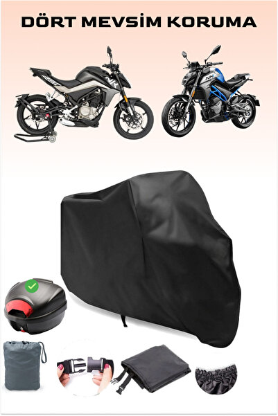 Breen Black Rear Bag Compatible 4Seasons Cfmoto 250Nk Engine Cover