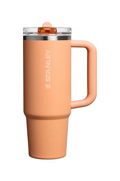 stanly Stanley 40oz Quencher ProTour Flip Straw Tumbler with Leakproof Lid |B...