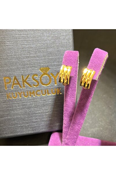 paksoy kuyumculuk 22 Ayar Altın Küpe Kaburga J Modeli 2.81gr Kadın Özel Tasar...