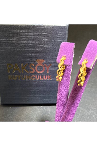 paksoy kuyumculuk 22 Ayar Altın Küpe Modern Halka Tasarım 3.56gr Kadın - K01011