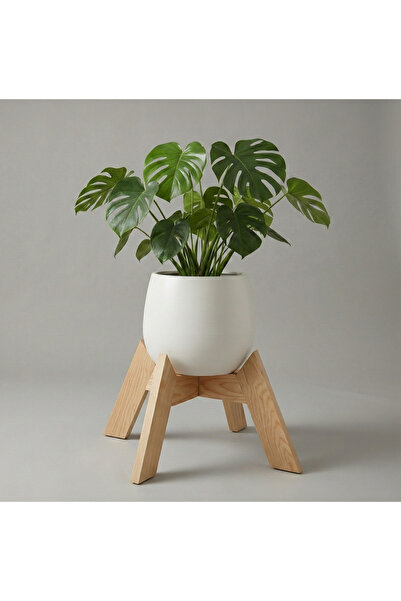UĞRAŞ Dekoratif Ahşap Saksılık - Modern Dekoratif Bitki Saksı Altlığı 30 CM Ç...