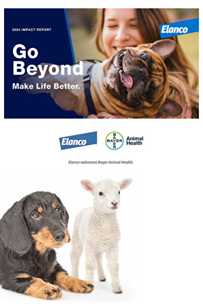 ELANCO Sebacil® 250ML / Bir Pire Kene Sinek Haşere İlacı