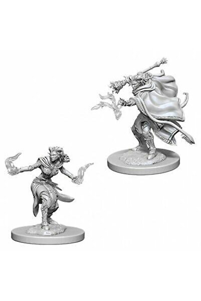 Wizkids Ντάντζενς & Ντράγκονς: Οι Υπέροχες Μινιατούρες του Νόλζουρ - Γυναίκα ...