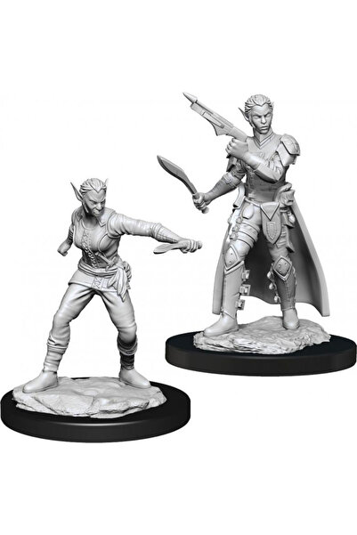 Wizkids Ντάντζενς & Ντράγκονς - Οι Υπέροχες Μινιατούρες του Νόλζουρ - Γυναίκα...